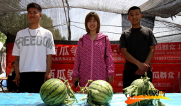 吃瓜爆料照片高清图,吃瓜爆料瞬间，真相尽收眼底